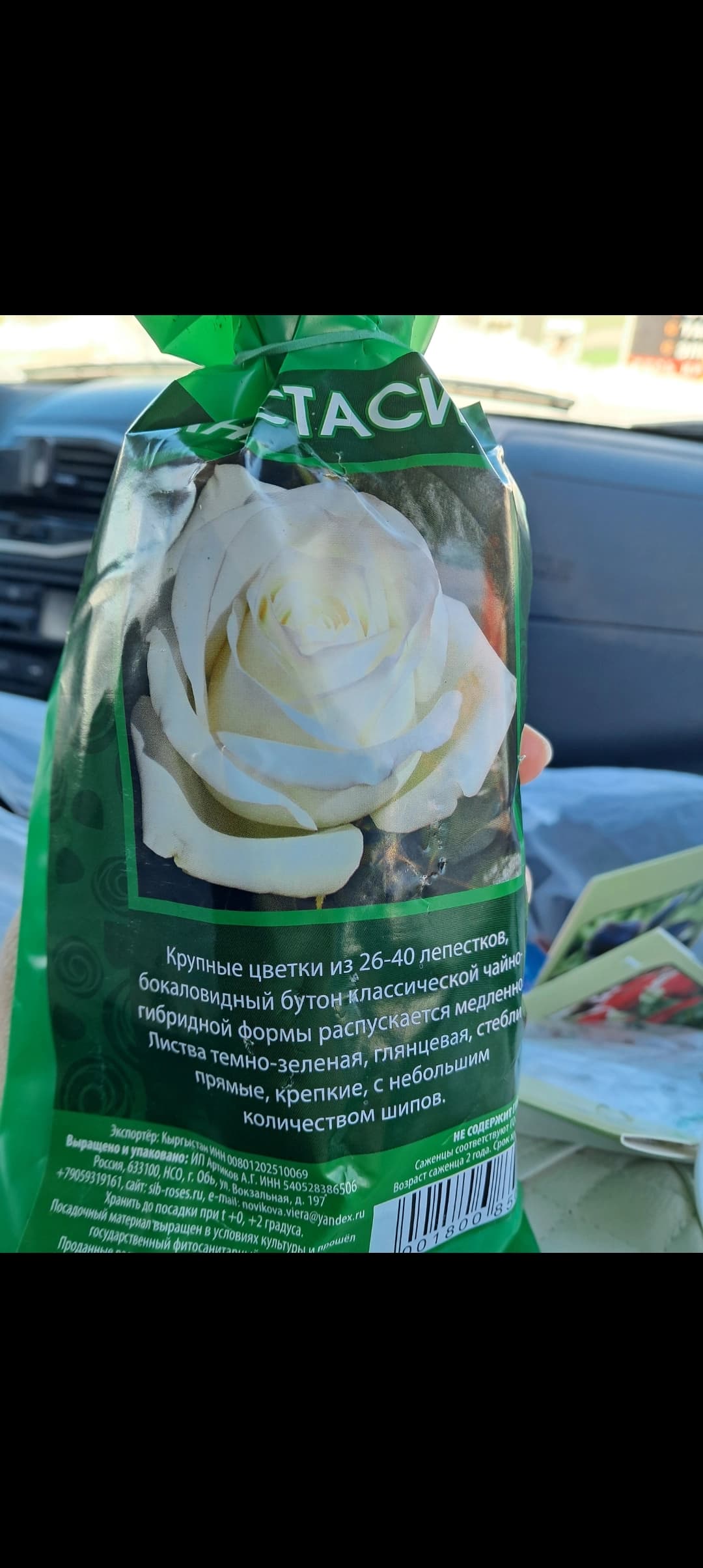 Покупка чайно - гибридной розы.