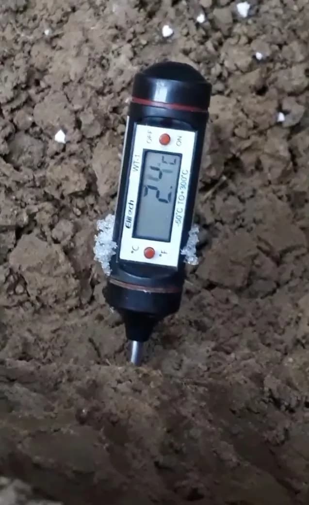 Что и при каких условиях можно сажать в саду в декабре