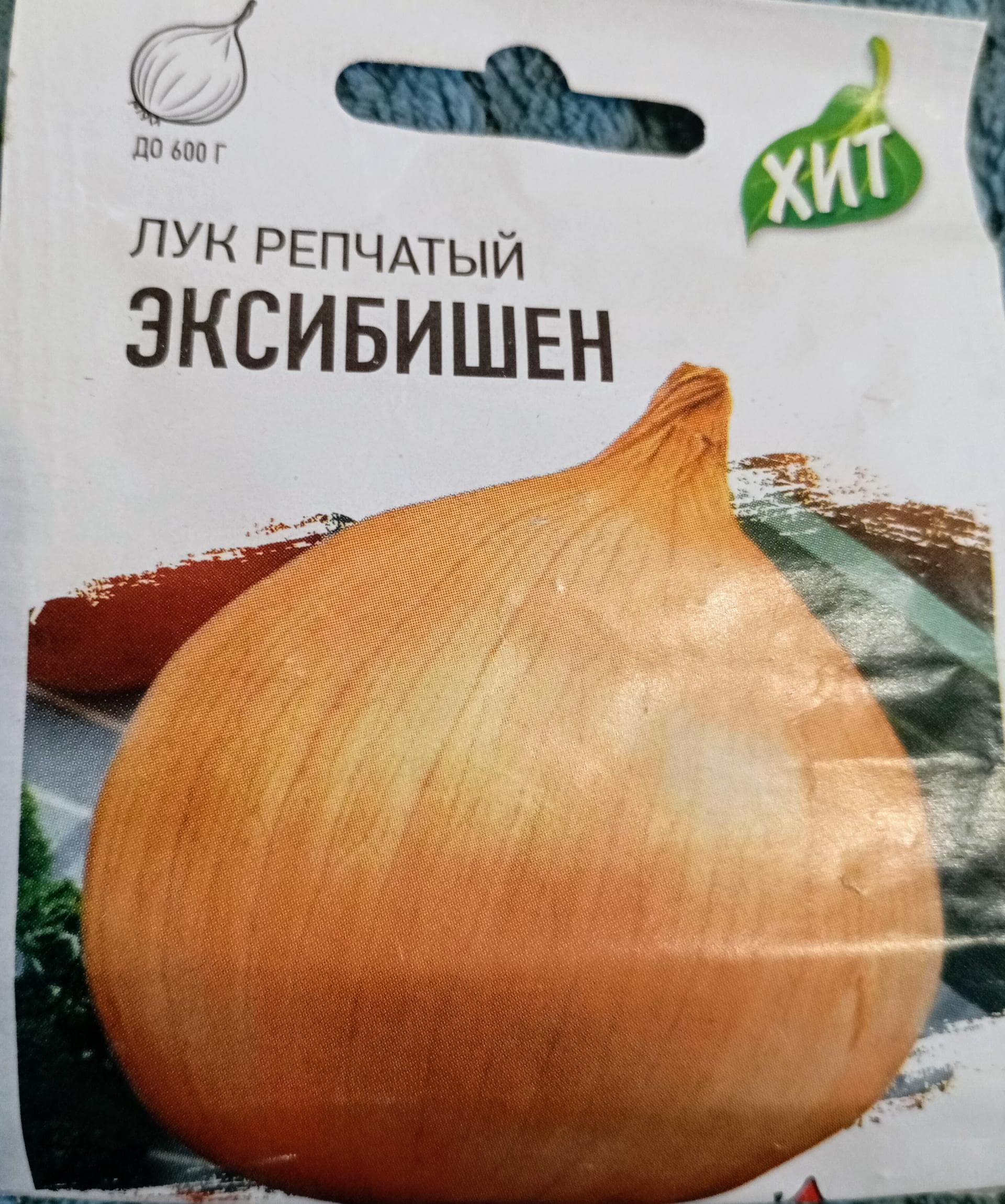 Лук Эксибишен
