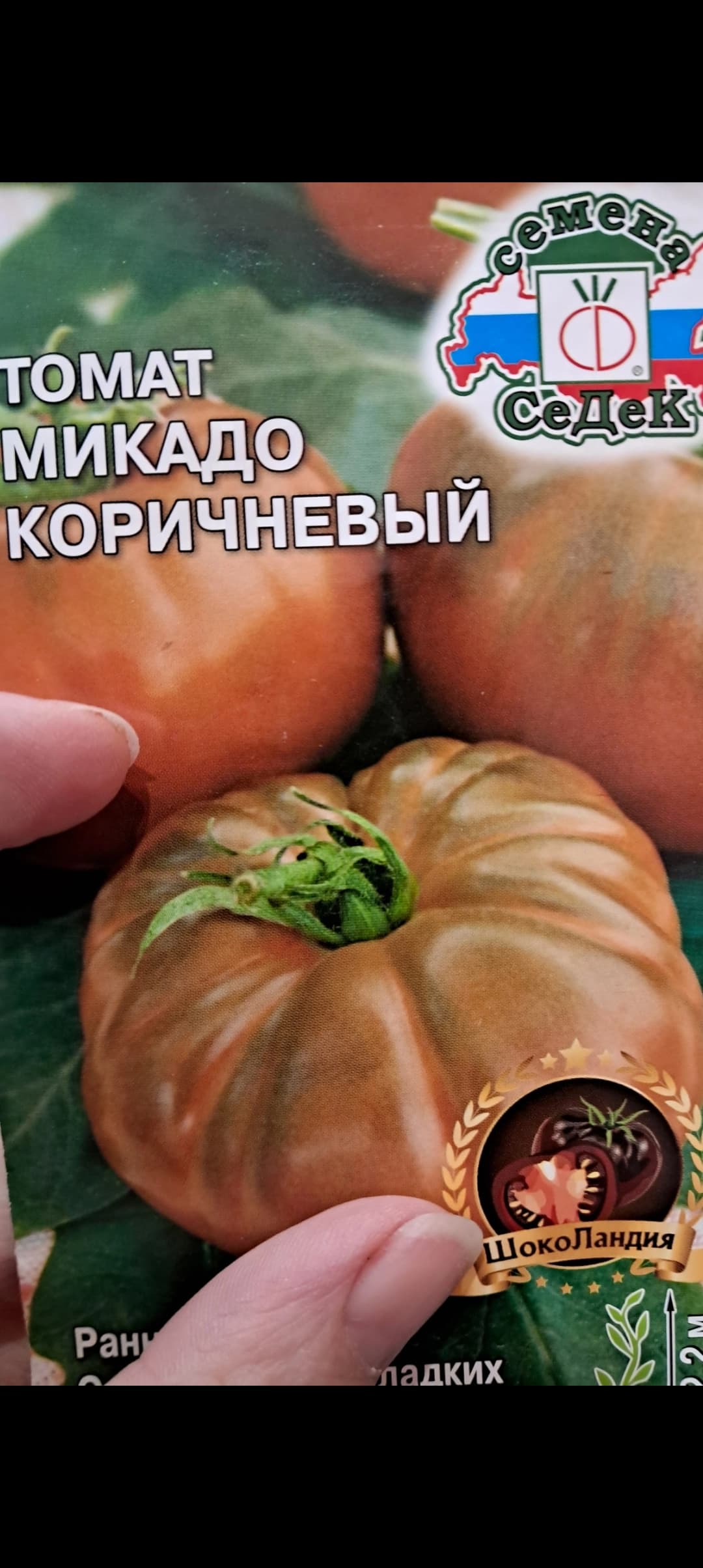 Немного о моей рассаде и посадке нового сорта томата.