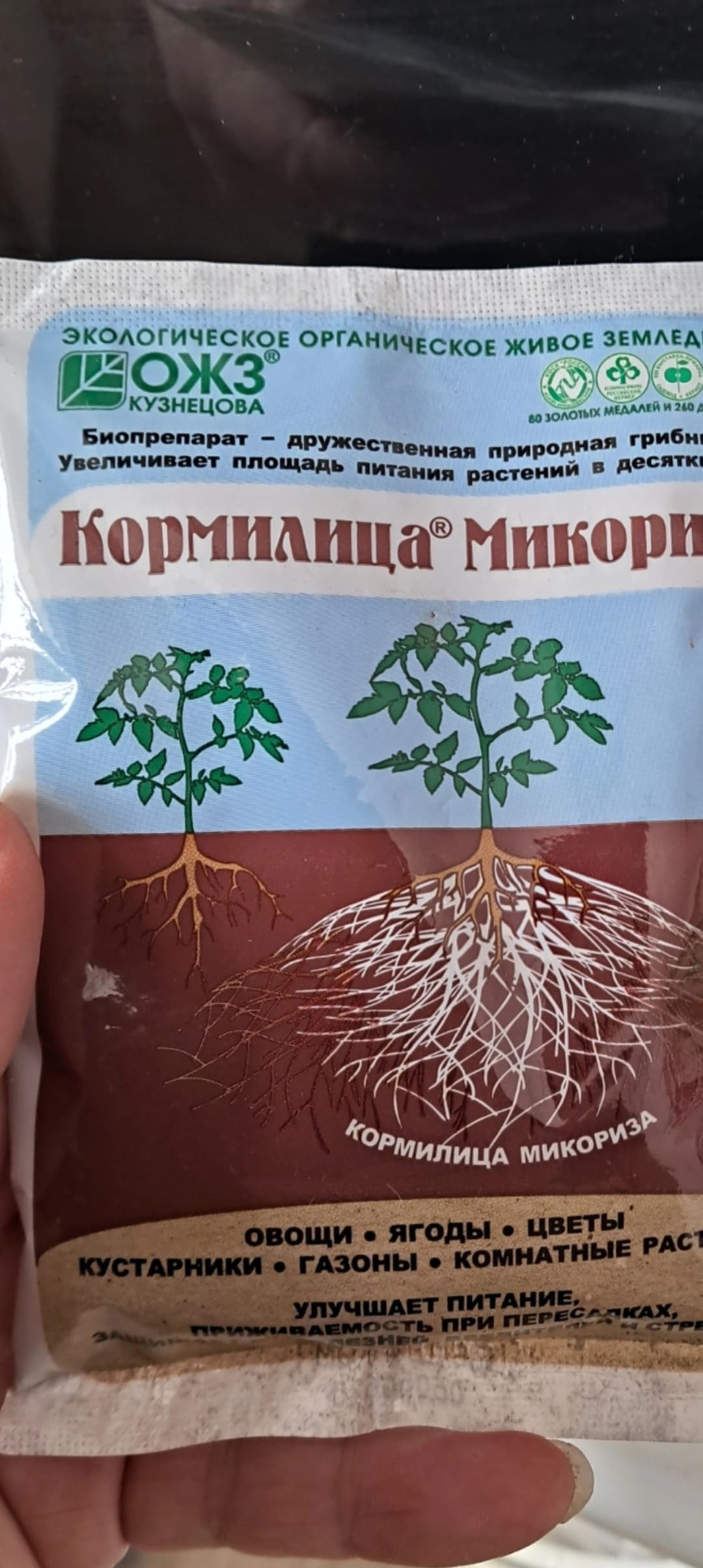 Попробую подружить лимон Сангвинеум с микоризой.
