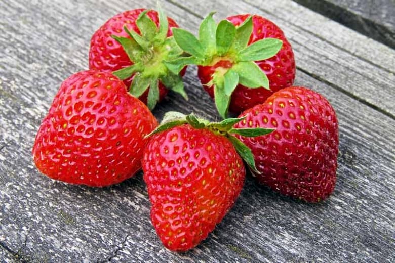 Fragaria 'Earliglow' (Июньская клубника)