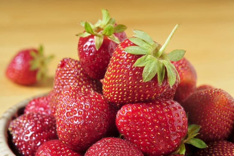 Fragaria 'Jewel' (Июньская клубника)