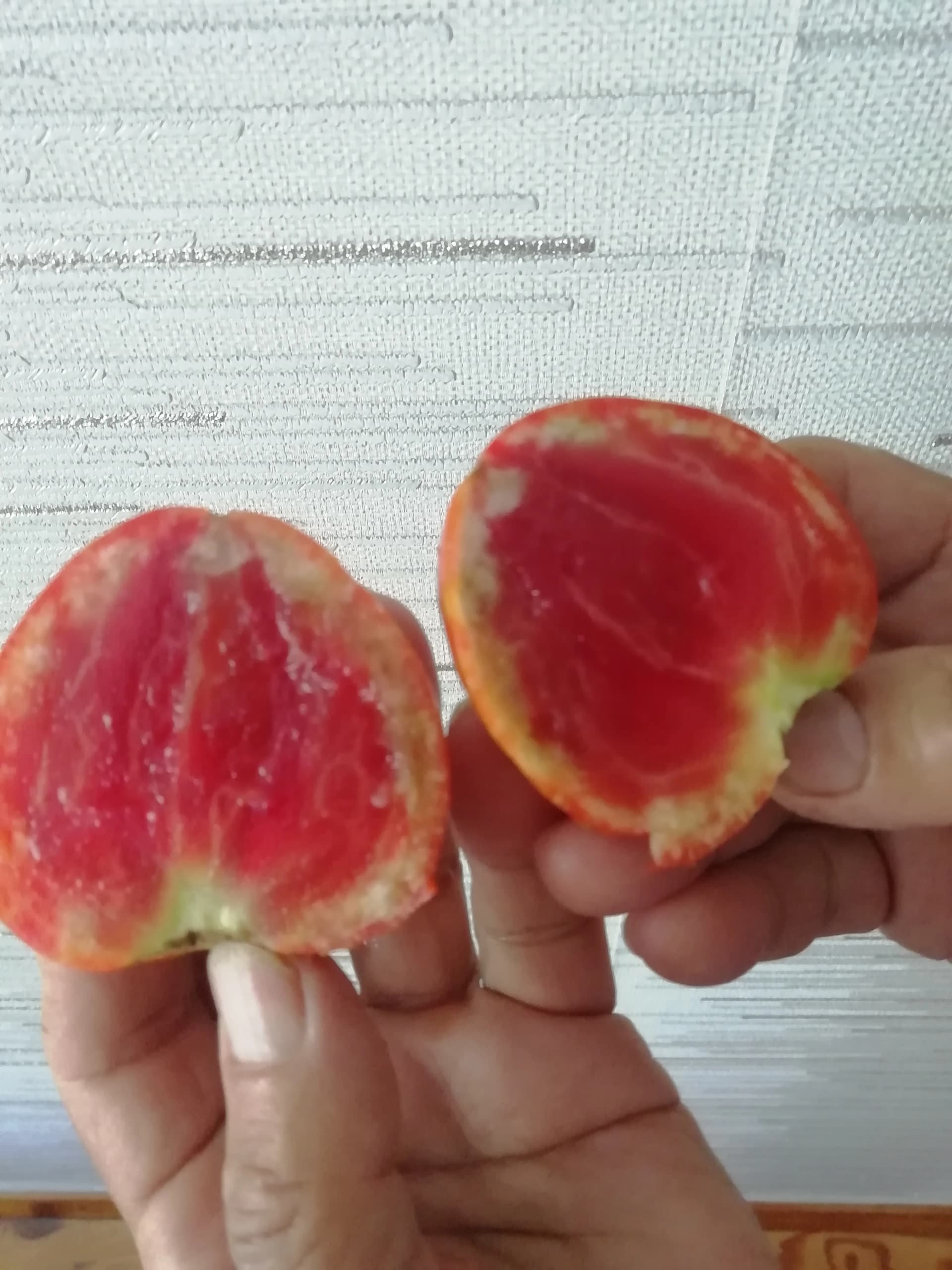 Серьёзный вредитель Мраморный клоп.