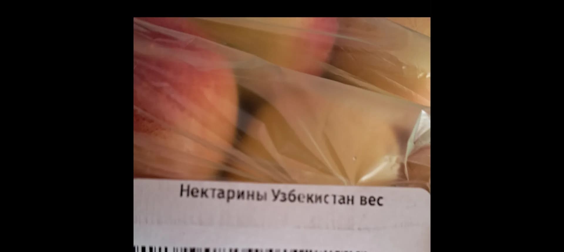 Увидела в магазине мелкие нектарины, а почему бы их не посадить?