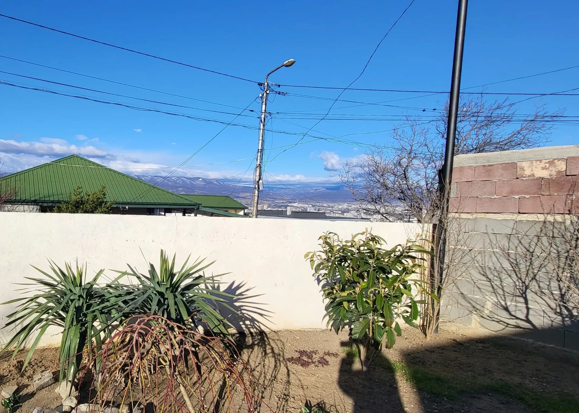 Сад не хочет сдаваться