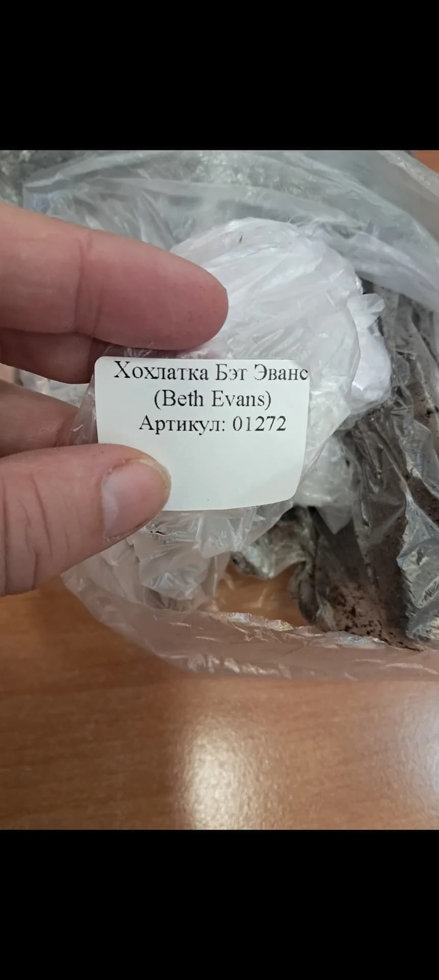 Вот и прислали мне хохлатку розовую сорта Бэт Эванс.